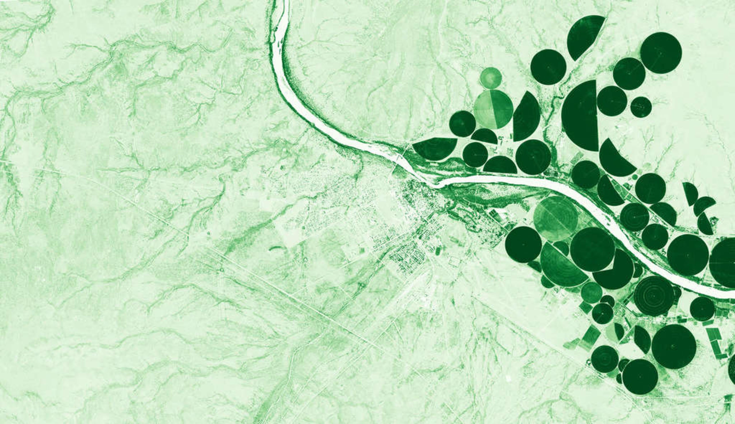 Placeholder alt text