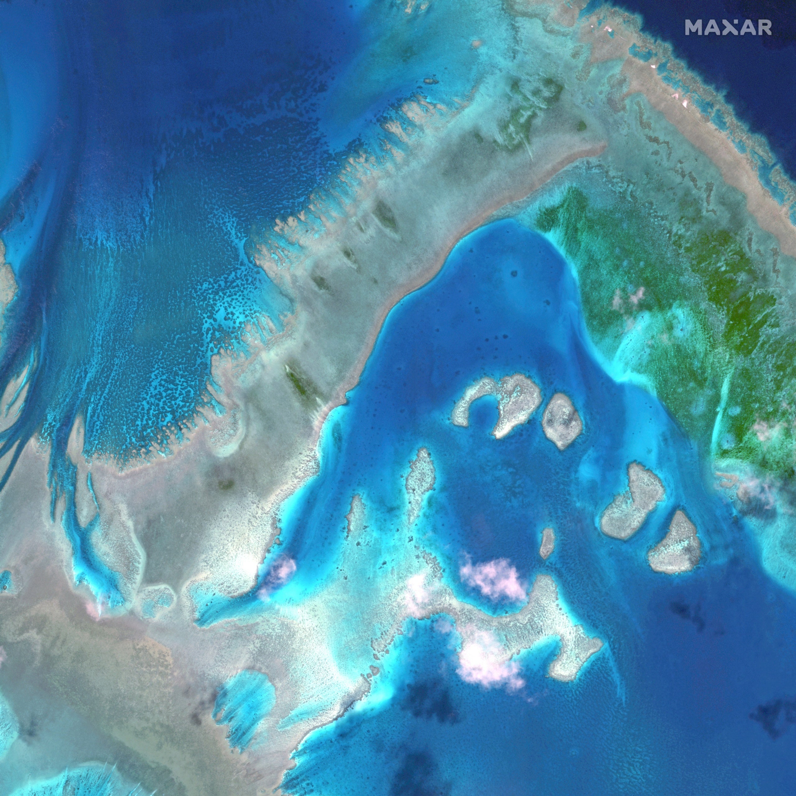 Placeholder alt text