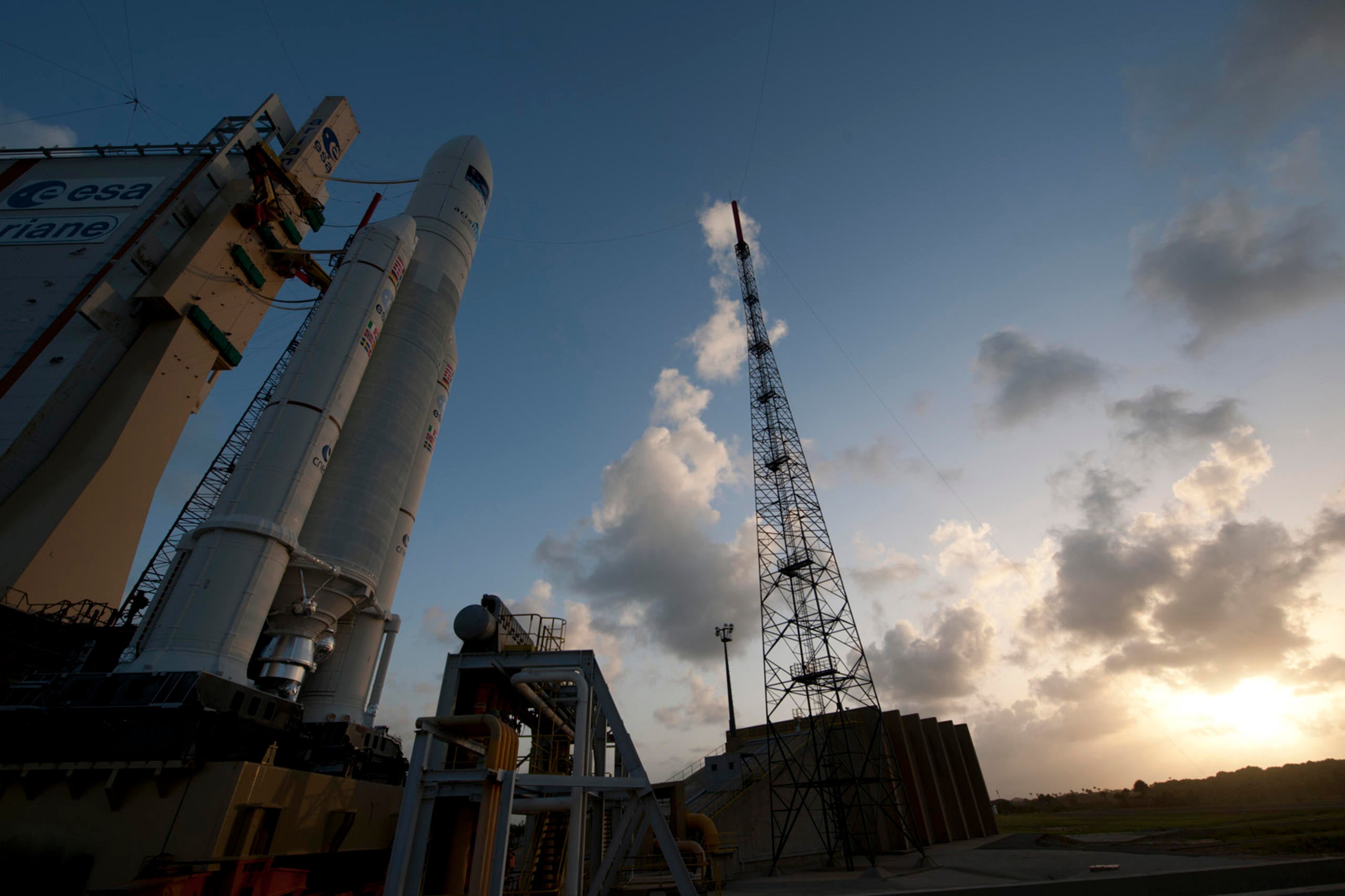 Placeholder alt text