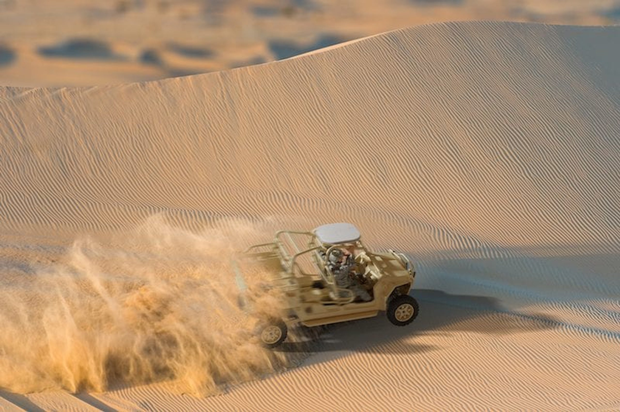 Placeholder alt text