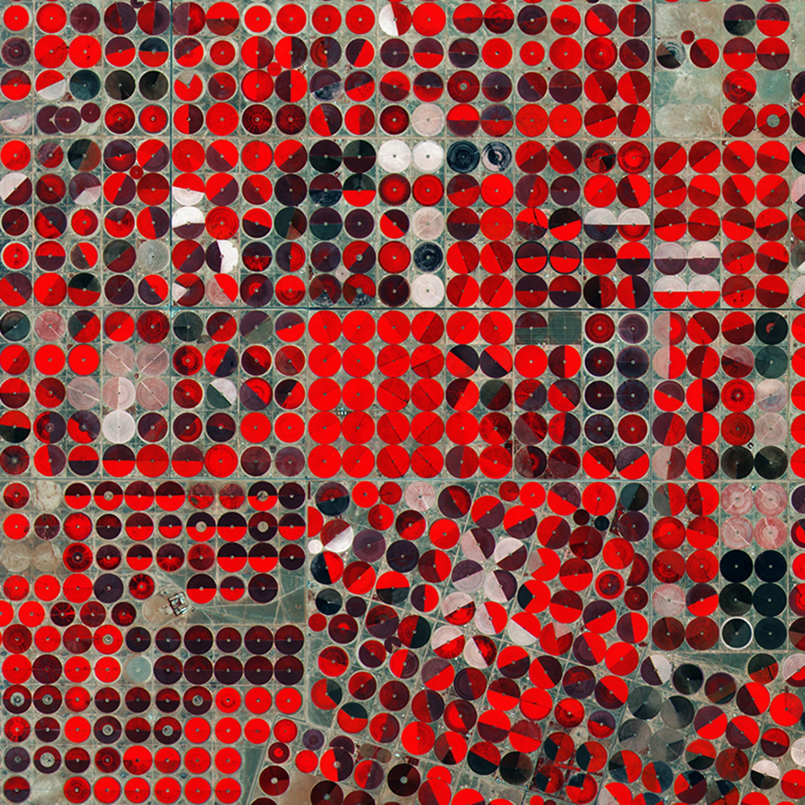 Placeholder alt text