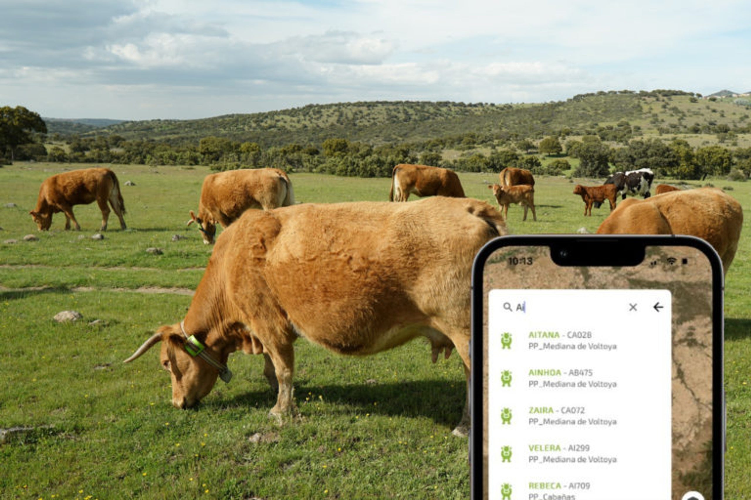 Placeholder alt text