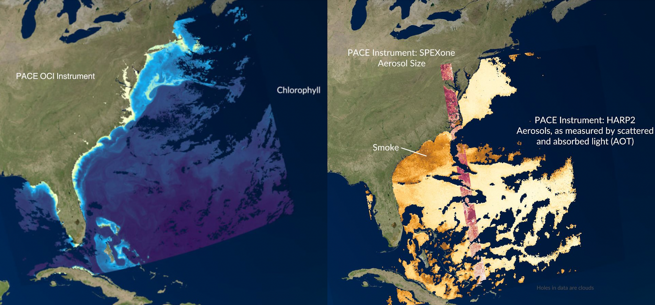 Placeholder alt text