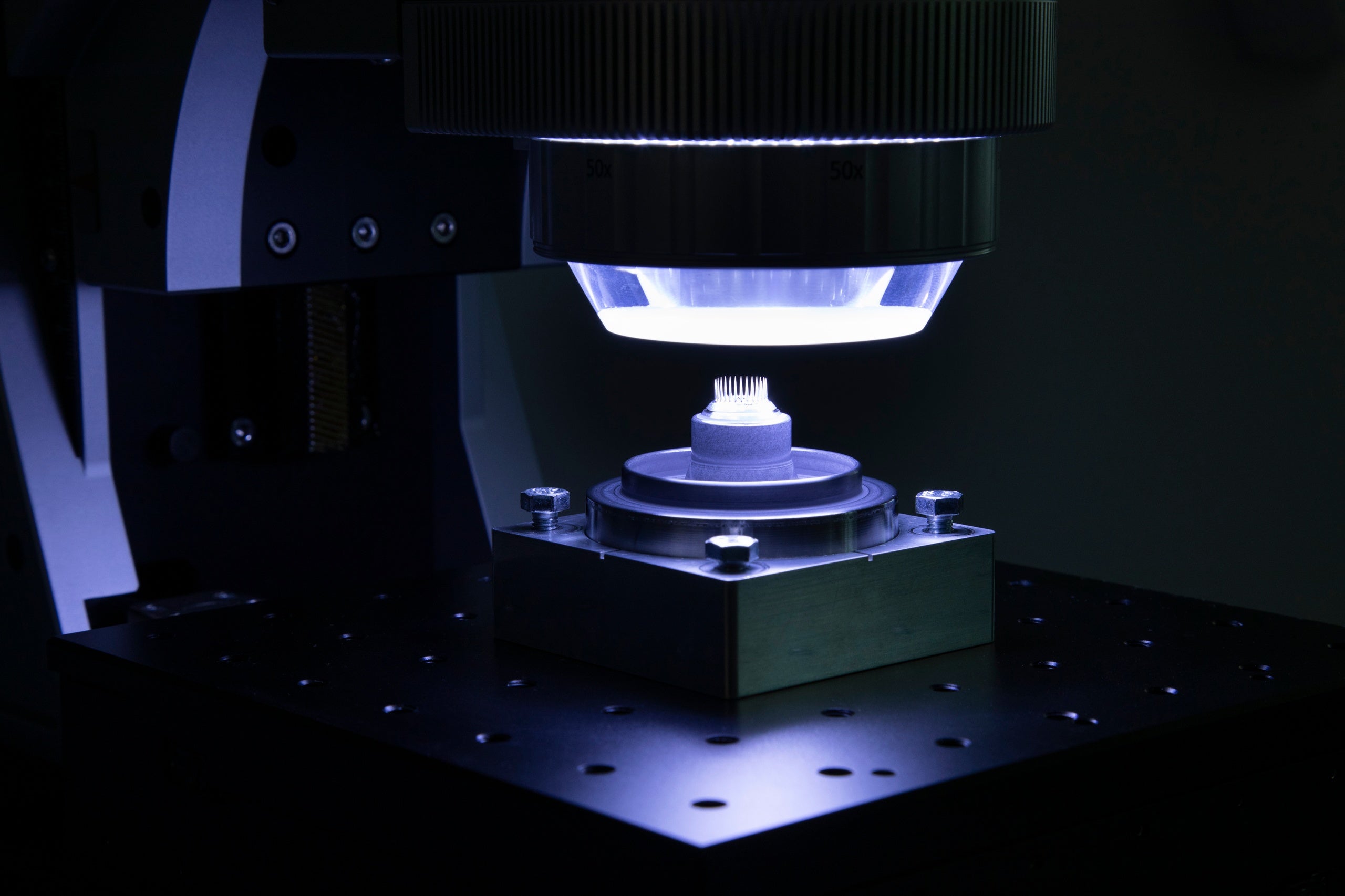 Placeholder alt text