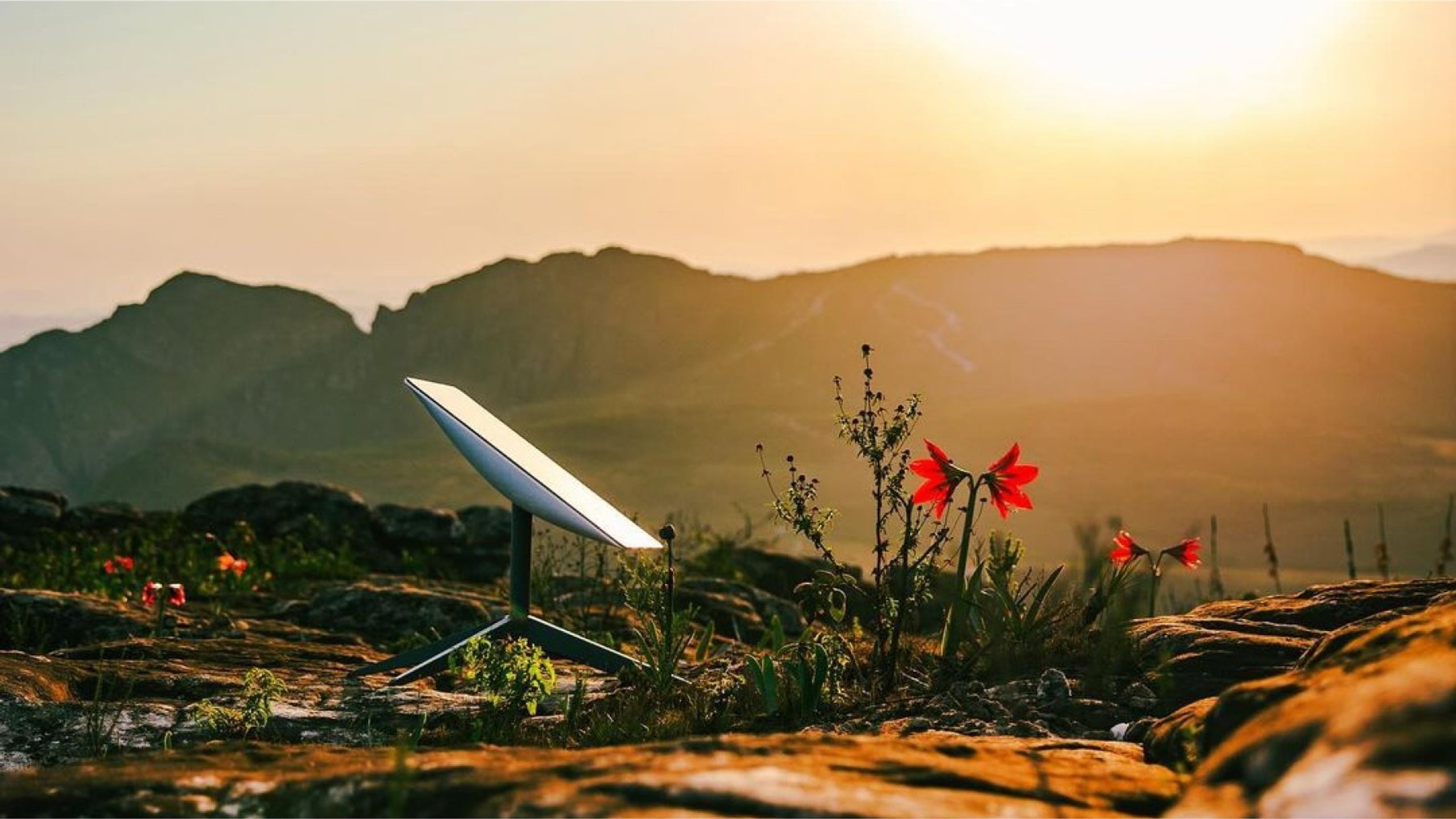 Placeholder alt text