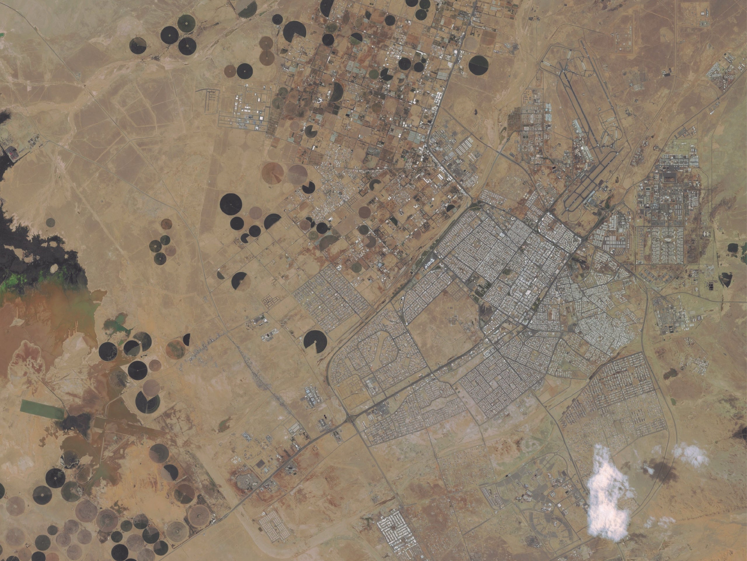 Placeholder alt text