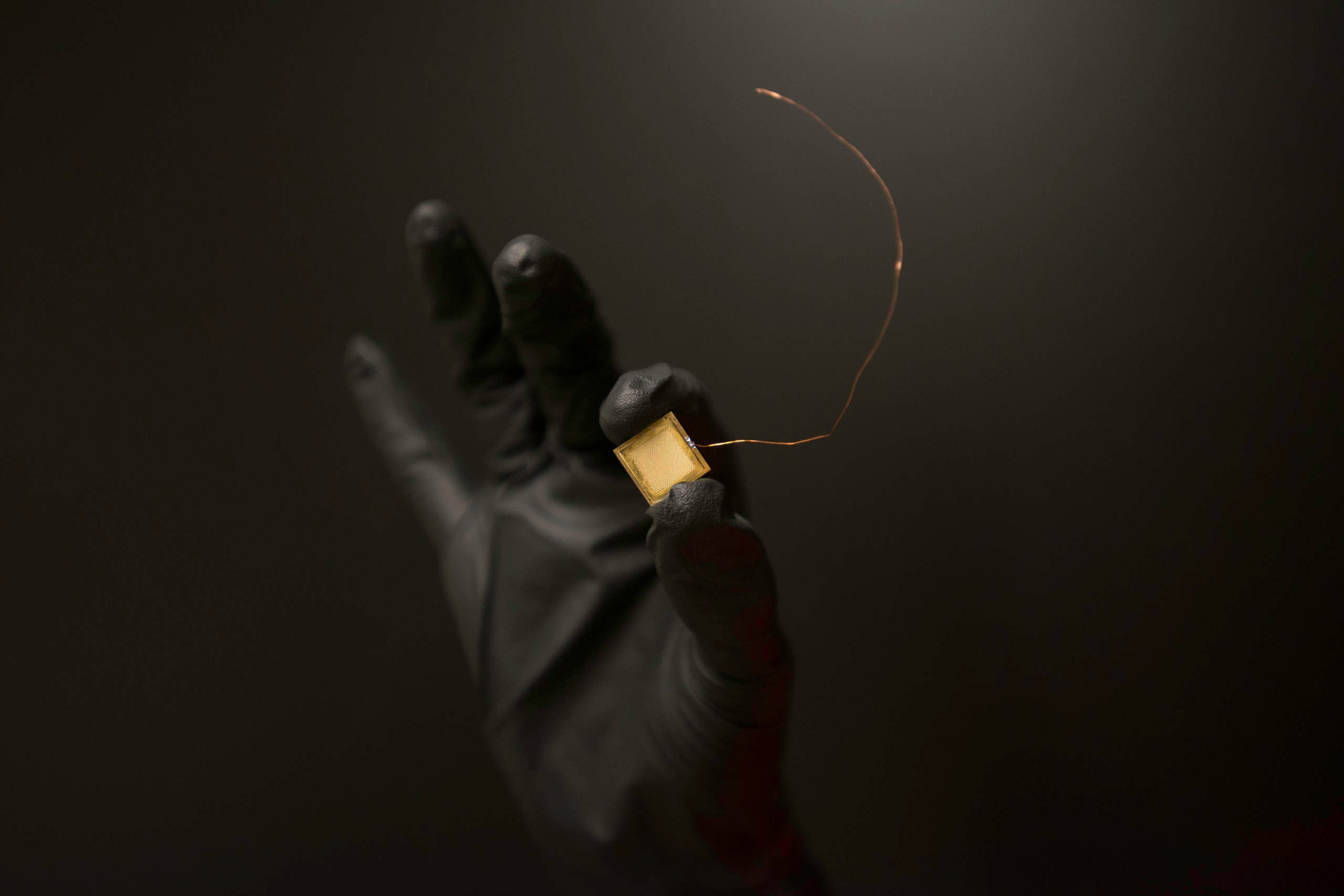 Placeholder alt text