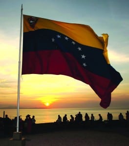 Venezuela Flag