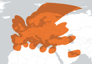 Italy mobile broadband