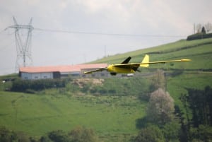 Fulmar UAV