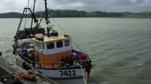 Trawler vessel maritime