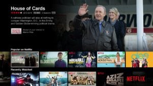 Netflix Web page Gogo