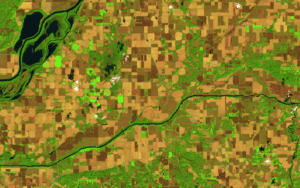 TellusLabs satellite imagery of crop fields. Photo: TellusLabs