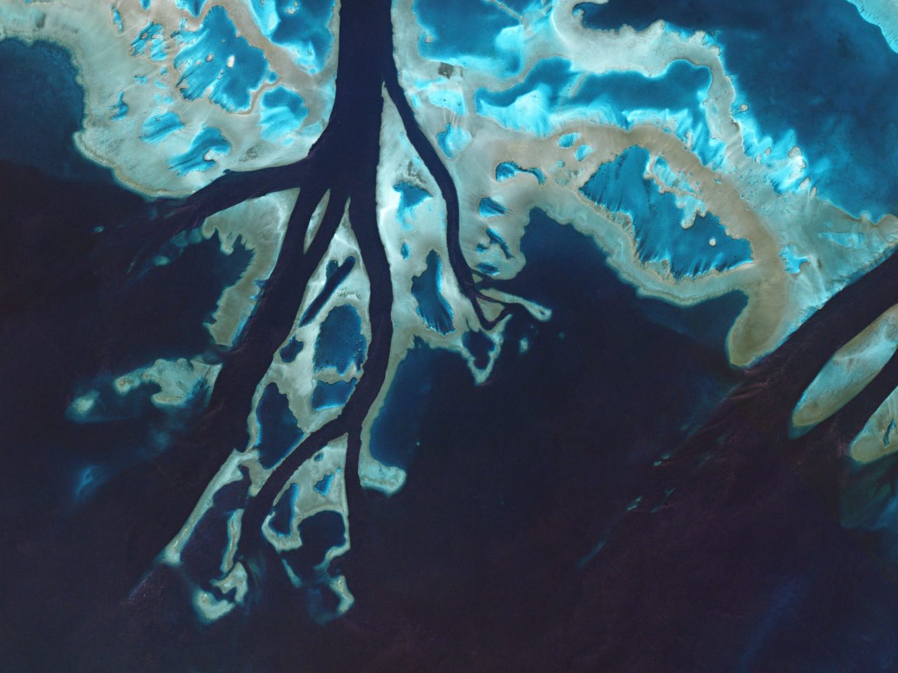 Tidal channels cut through parts of the Great Barrier Reef. Photo: Planet. 