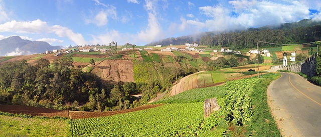 Quetzaltenango farm highlands in Guatemala. Photo: Wikimedia.