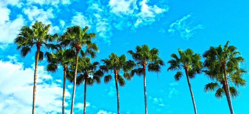 Charter wants to conduct experiments in the 3.7-4.2 GHz band in Bowling Green and Lake Wales in Florida. Photo: Fierce Wireless (via Pixabay)