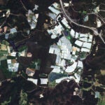 Imagery Startup Arlula Secures Lockheed Martin Investment