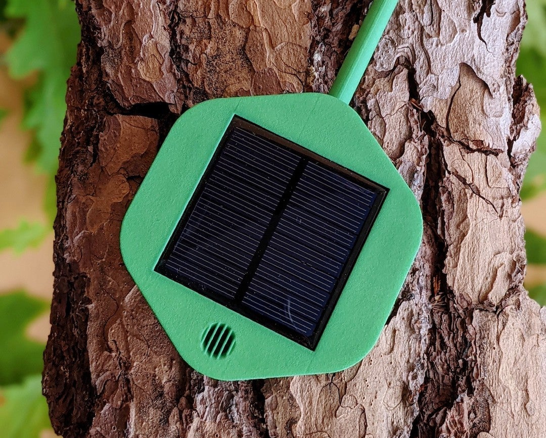 A Dryad Silvanet sensor. Photo: Dryad Networks