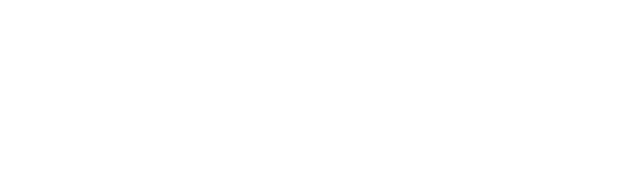 Satellite Conference